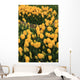 Tulip Period in Istanbul Wall Mural