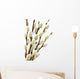 Spring pussy willows Wall Decal