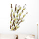 Spring pussy willows Wall Decal