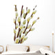Spring pussy willows Wall Decal