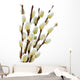 Spring pussy willows Wall Decal
