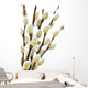 Spring pussy willows Wall Decal
