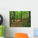 Path Wood Wall Decal