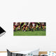 Rugby Wall Mural