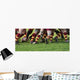 Rugby Wall Mural