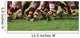 Rugby Wall Mural