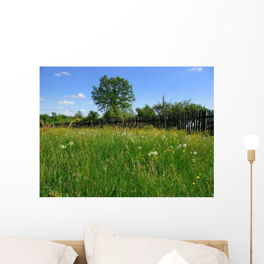 Summer Meadow1 Wall Decal
