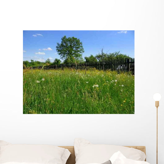 Summer Meadow1 Wall Decal