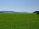Meadow Wall Decal Design 2