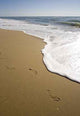 Human Trace Beach Wall Decal