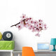 Cherry Blossom Wall Decal