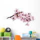 Cherry Blossom Wall Decal
