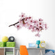 Cherry Blossom Wall Decal