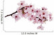 Cherry Blossom Wall Decal