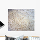 Basmati Rice Wall Mural