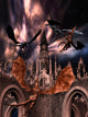 Fighting Dragons Wall Mural