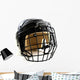 Hockey Helmet