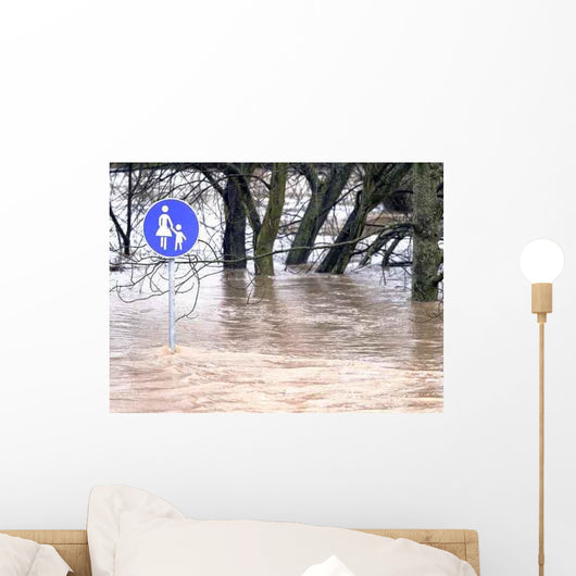 Aqua Planing im Park Wall Decal