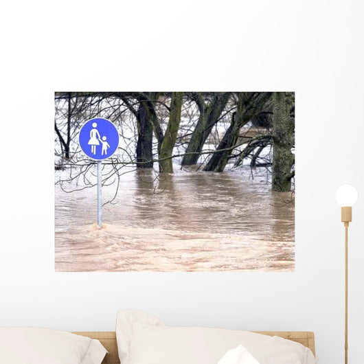 Aqua Planing im Park Wall Decal