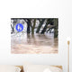Aqua Planing im Park Wall Decal