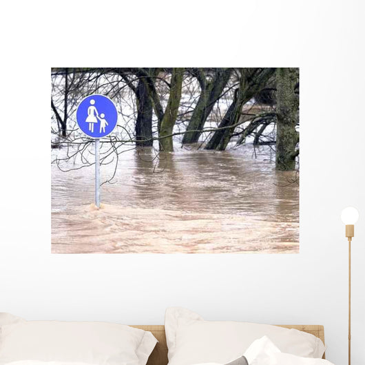 Aqua Planing im Park Wall Decal