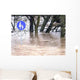 Aqua Planing im Park Wall Decal