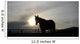 Abendstimmung Beim Reitstall