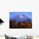 Mount Fuji Fall Vii Wall Decal