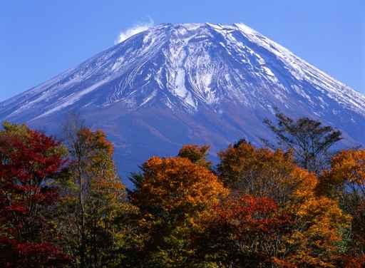 Mount Fuji Fall Vii Wall Decal