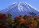 Mount Fuji Fall Vii Wall Decal