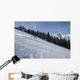 Skiers Enjoying Slopes Wall Mural