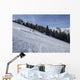 Skiers Enjoying Slopes Wall Mural