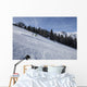 Skiers Enjoying Slopes Wall Mural