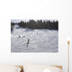 Skiers Enjoying Slopes Wall Mural