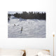 Skiers Enjoying Slopes Wall Mural