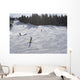 Skiers Enjoying Slopes Wall Mural