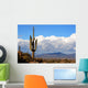 high desert with cactus,mountains and clouds Wall Mural