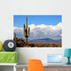high desert with cactus,mountains and clouds Wall Mural