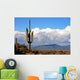 high desert with cactus,mountains and clouds Wall Mural