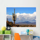 high desert with cactus,mountains and clouds Wall Mural