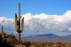 high desert with cactus,mountains and clouds Wall Mural