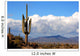 high desert with cactus,mountains and clouds Wall Mural