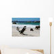 Colony of Penguinssouth Africa Wall Mural