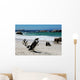 Colony of Penguinssouth Africa Wall Mural