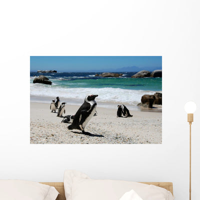 Colony Beach Penguins Wall Mural shown on a wall