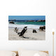 Colony of Penguinssouth Africa Wall Mural