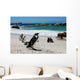 Colony of Penguinssouth Africa Wall Mural