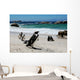 Colony of Penguinssouth Africa Wall Mural