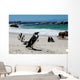 Colony of Penguinssouth Africa Wall Mural