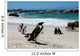 Colony of Penguinssouth Africa Wall Mural